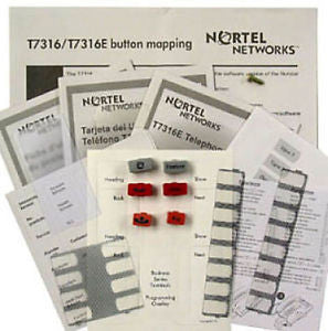 Bundle of (5) Lit Packs for use on Nortel Norstar T7316/T7316E phones. Lit Pack provides the user card, and labels for your T7316 and T7316E phone. Package includes: Custom desi strips, Fixed desi strips, User card with plastic, Four plastic covers.